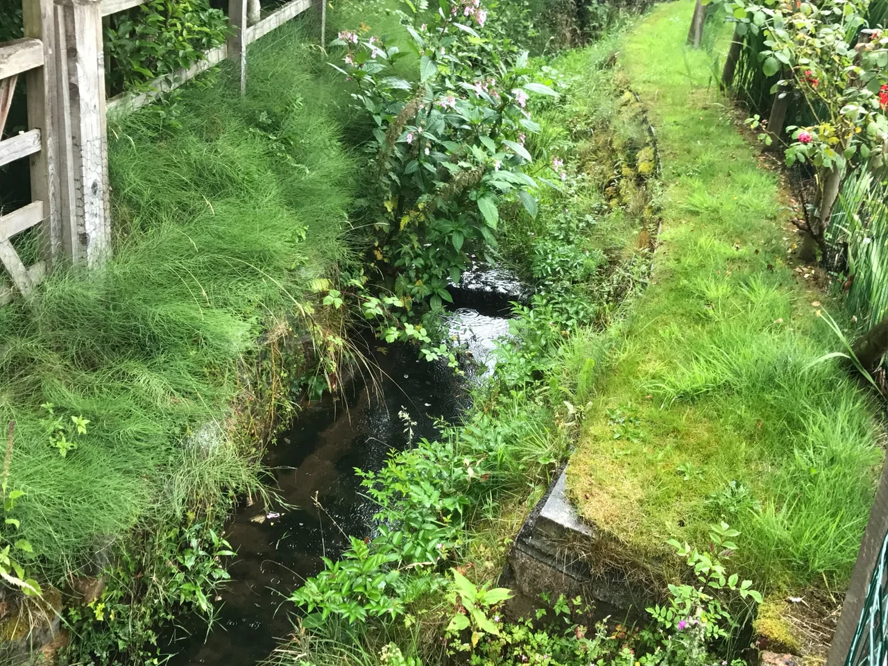 Stream flowing through a narrow masonry-lined channel between planted garden banks in Mottram St Andrew