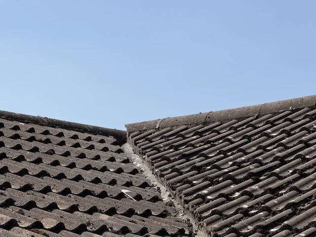 Tiled pitched roof with ridge and adjoining roof junctions