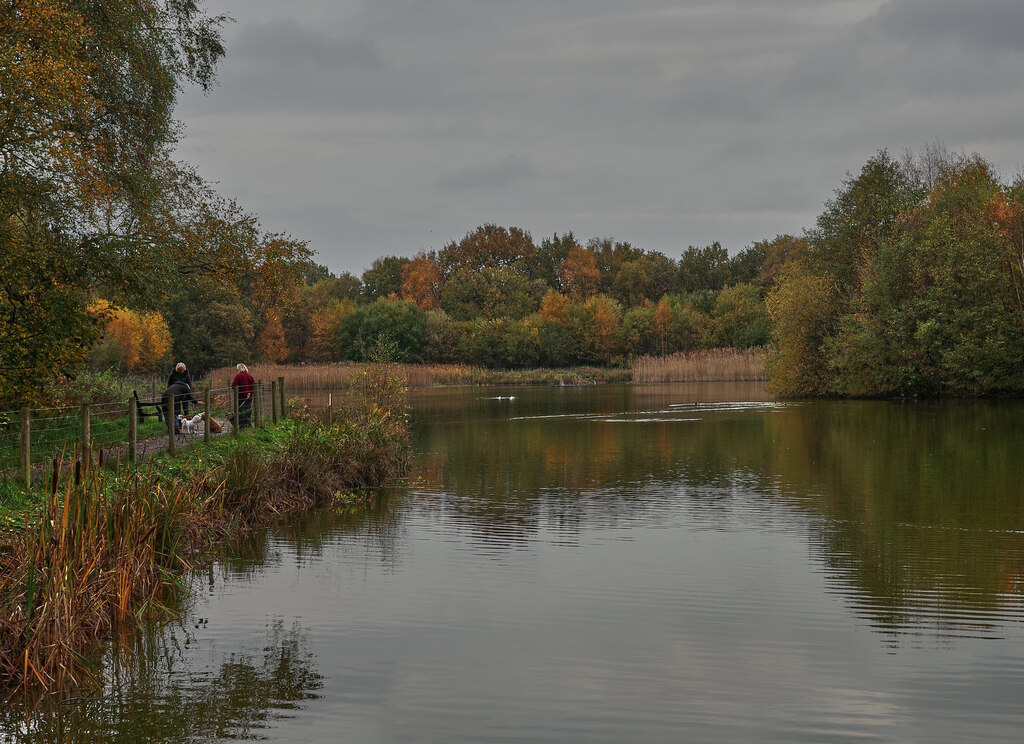 Black Lake, Lindow Common, Wilmslow